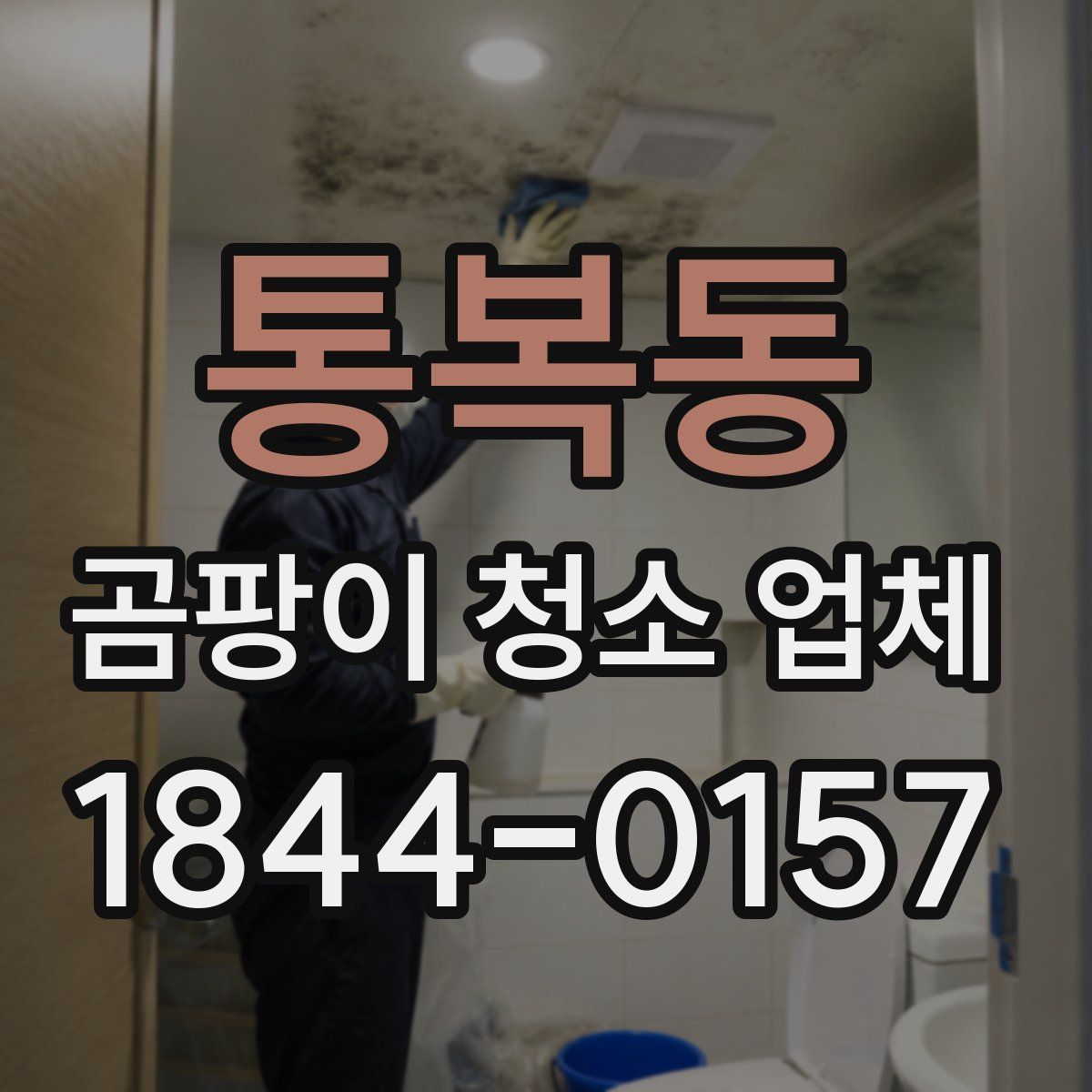통복동 곰팡이 청소 업체