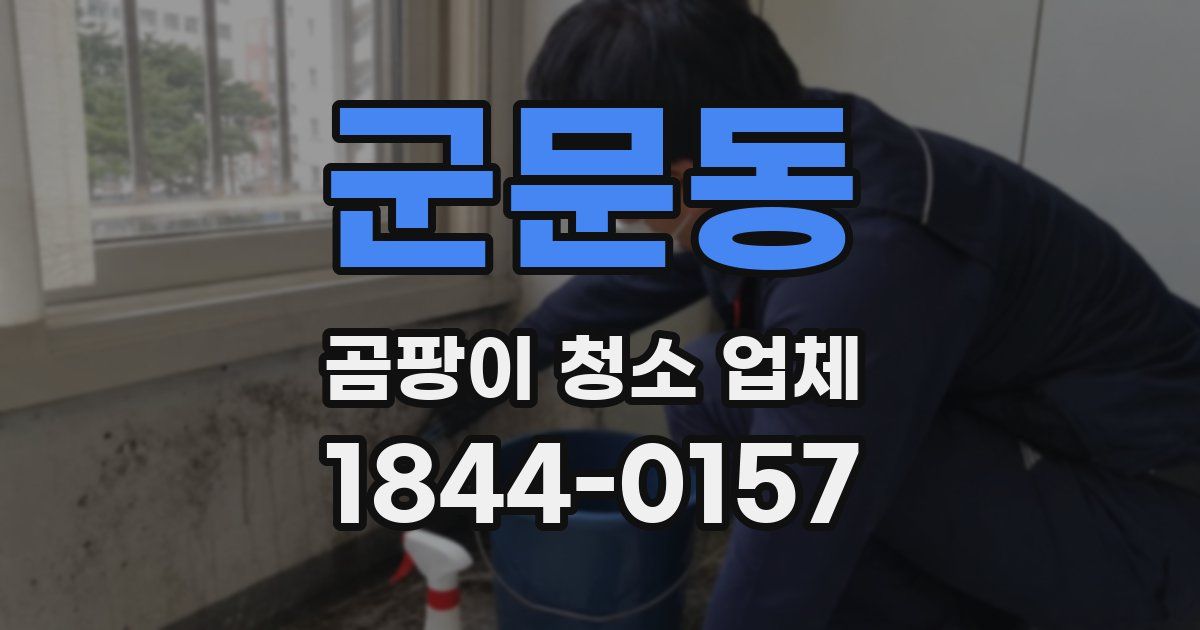 군문동 곰팡이 청소 업체