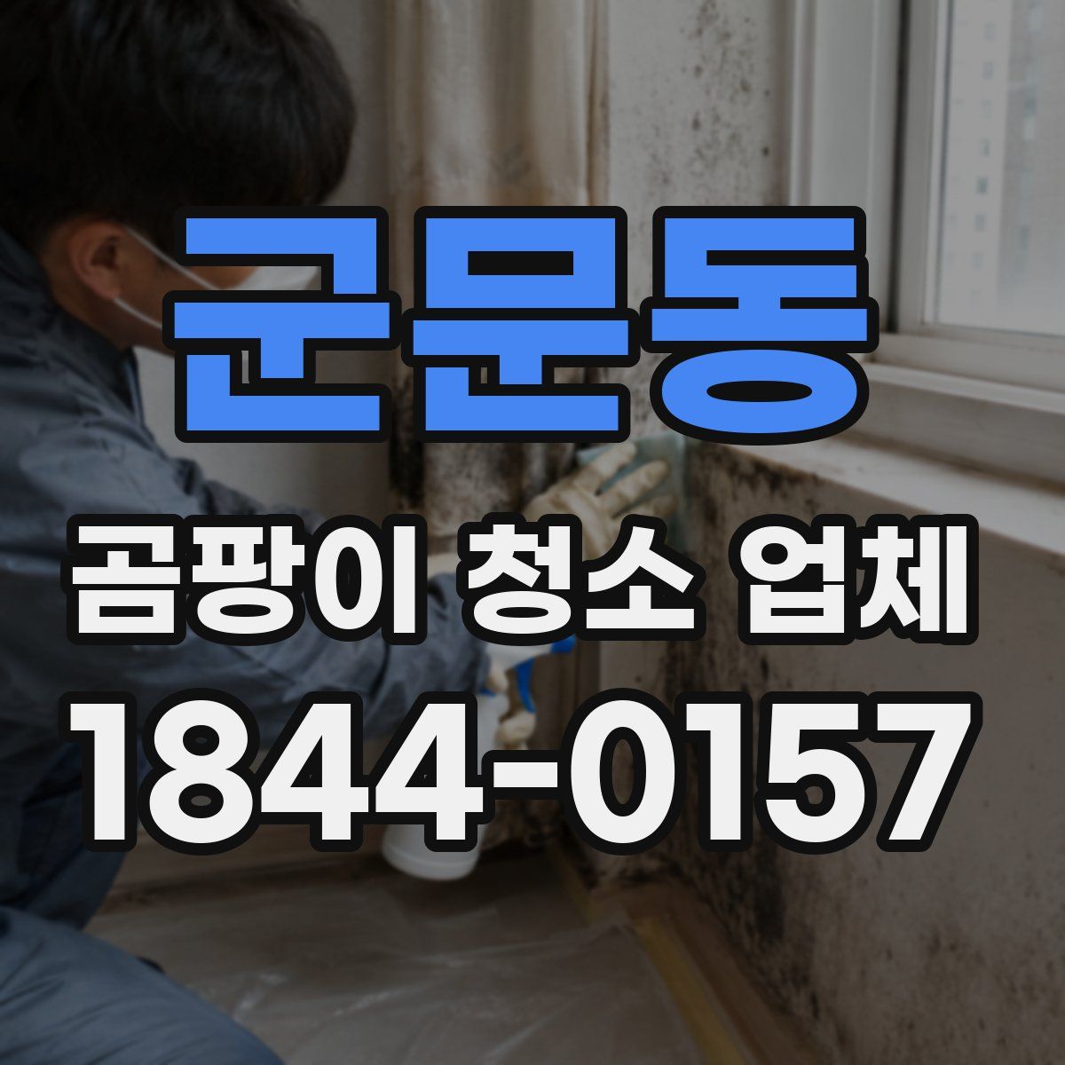 군문동 곰팡이 청소 업체