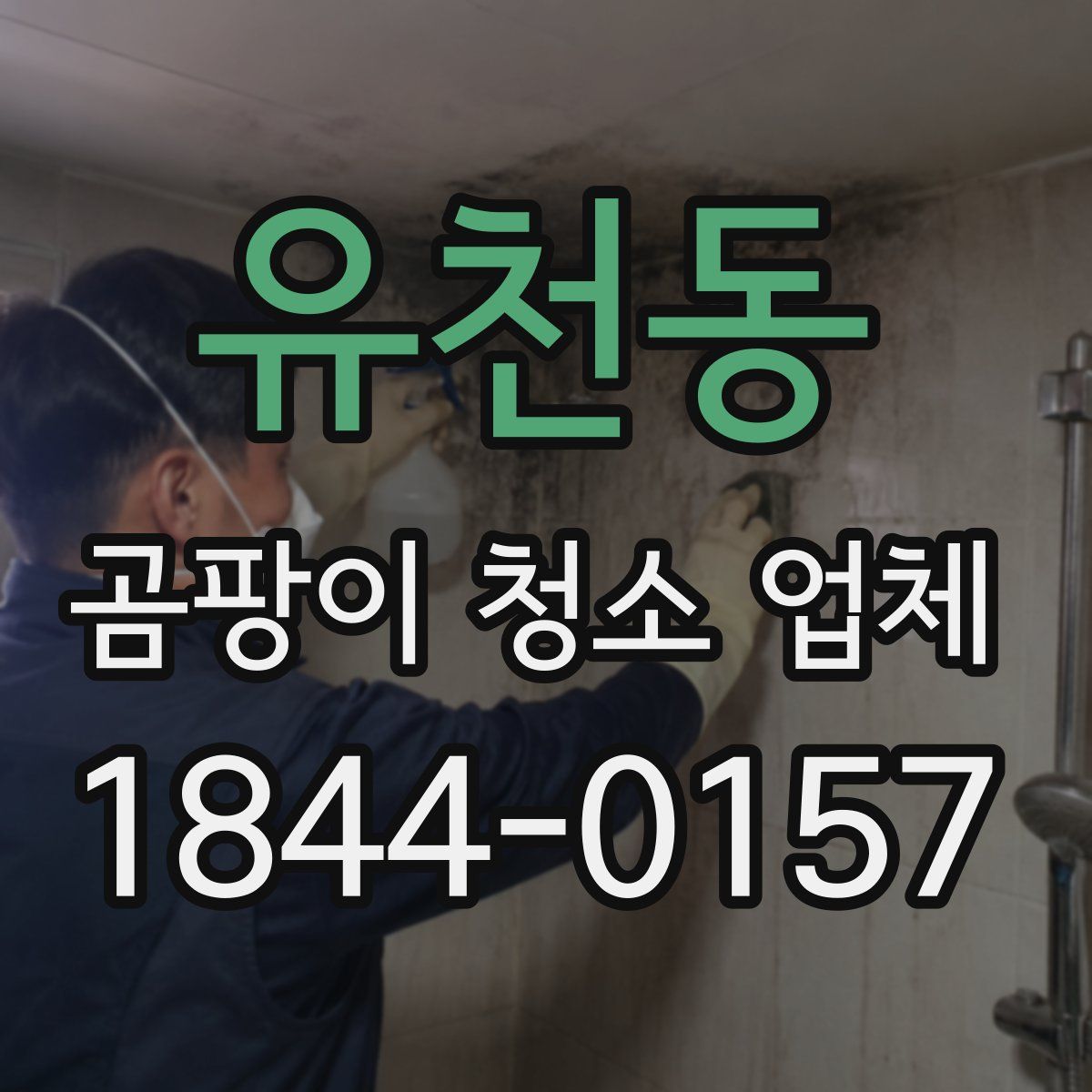 유천동 곰팡이 청소 업체