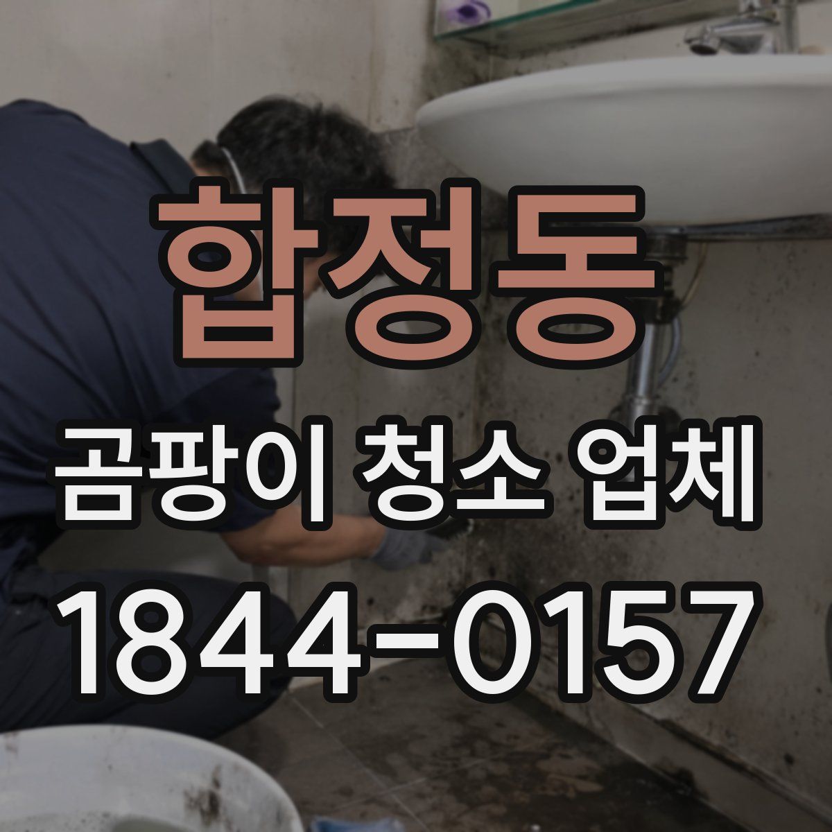 합정동 곰팡이 청소 업체