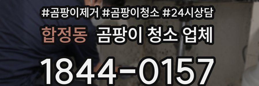 합정동 곰팡이 청소 업체