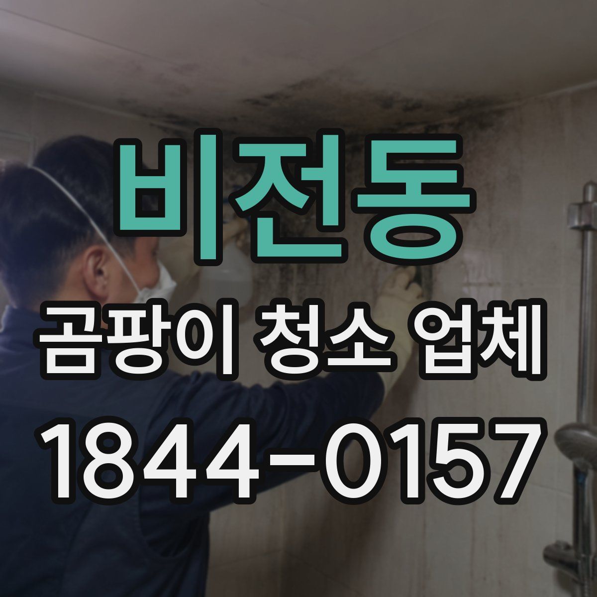 비전동 곰팡이 청소 업체