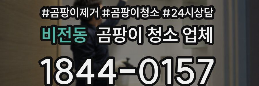 비전동 곰팡이 청소 업체