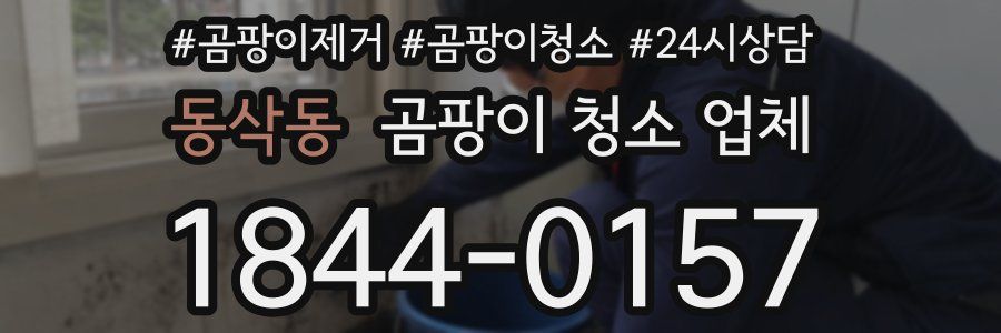 동삭동 곰팡이 청소 업체