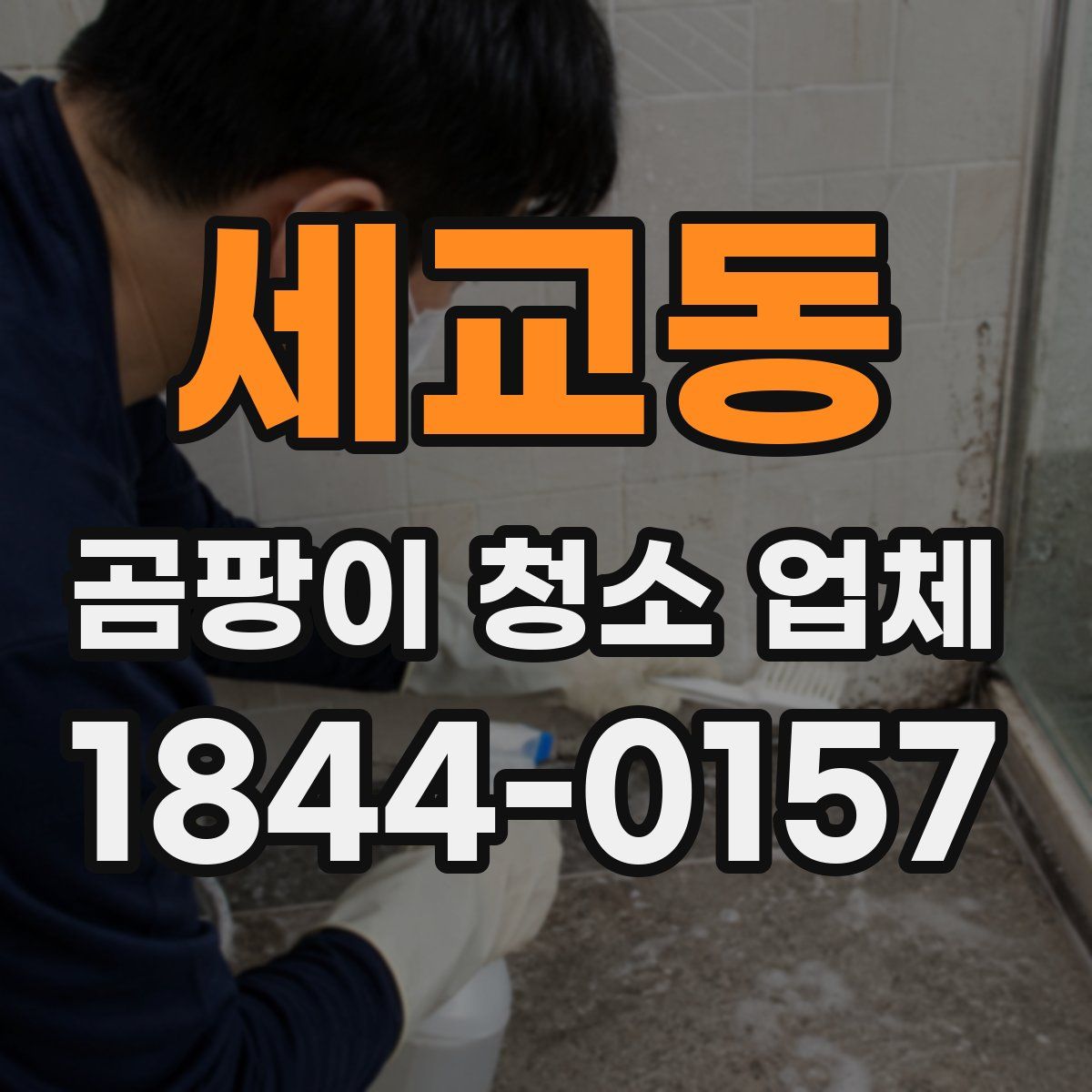 세교동 곰팡이 청소 업체