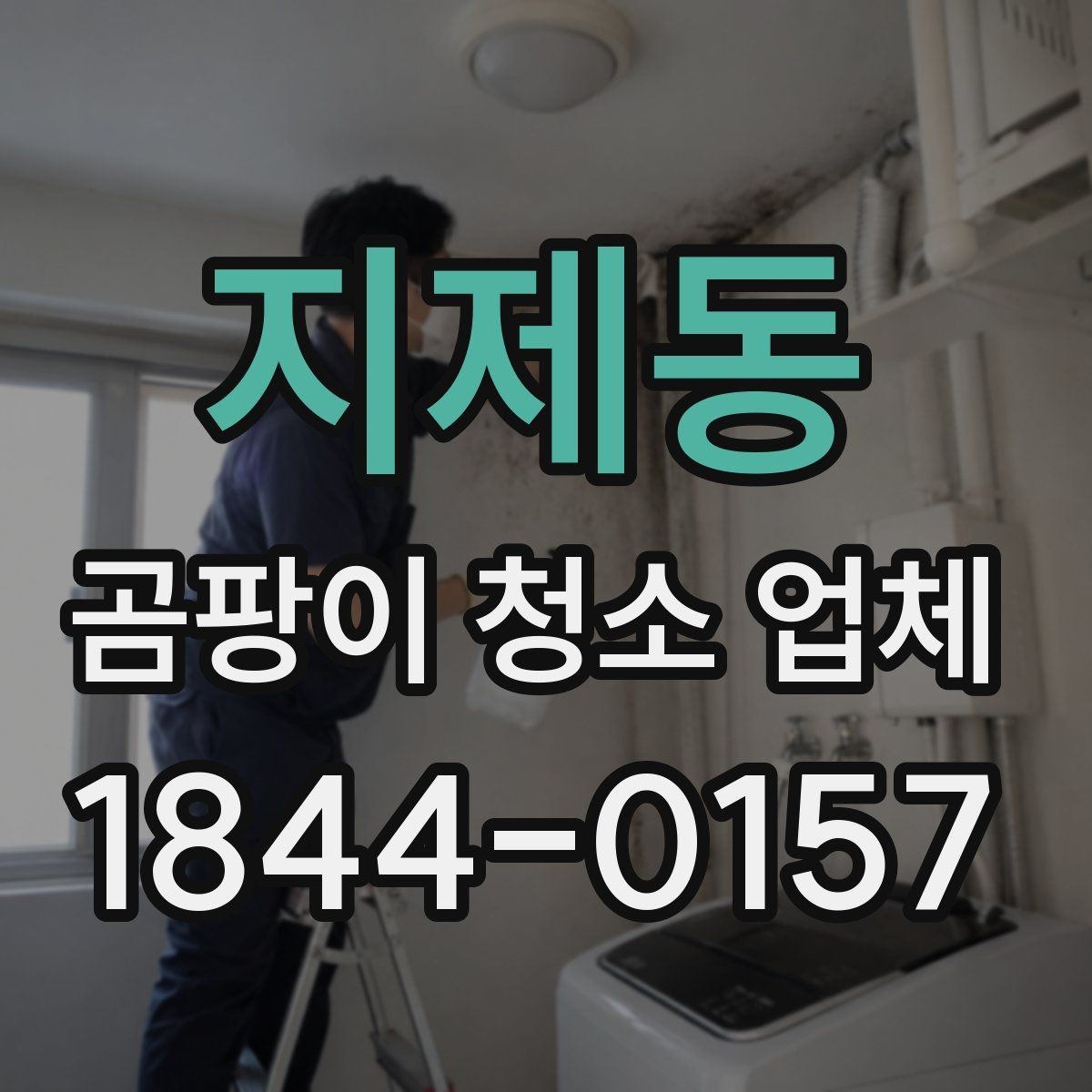 지제동 곰팡이 청소 업체 벽지와 욕실 곰팡이 제거 범위