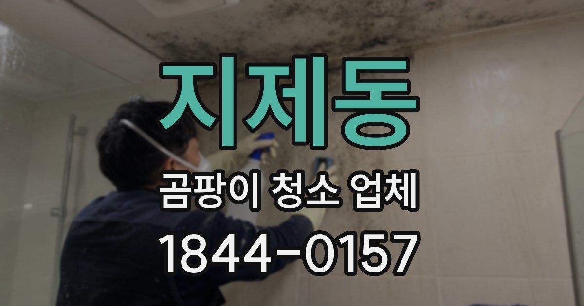 지제동 곰팡이 청소 업체