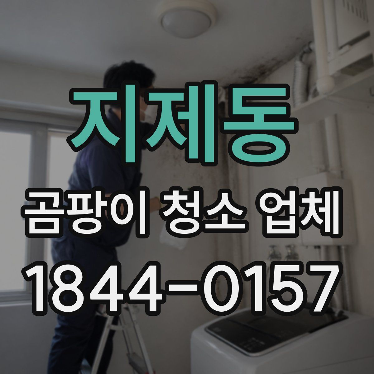 지제동 곰팡이 청소 업체
