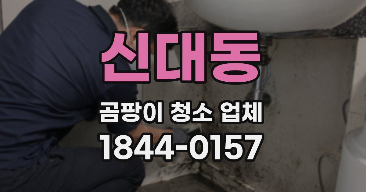 신대동 곰팡이 청소 업체