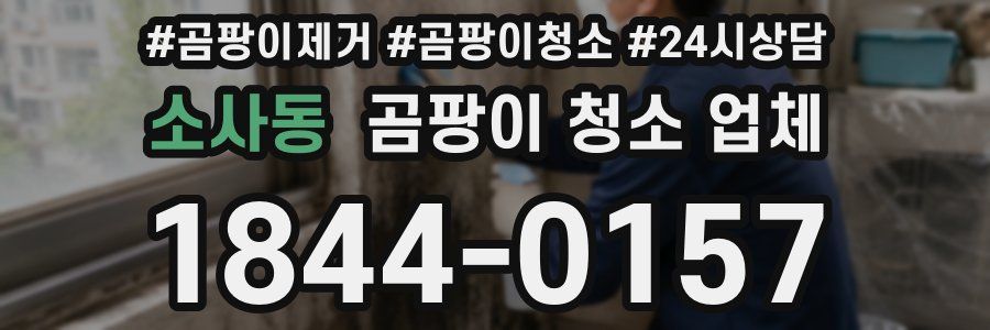 소사동 곰팡이 청소 업체
