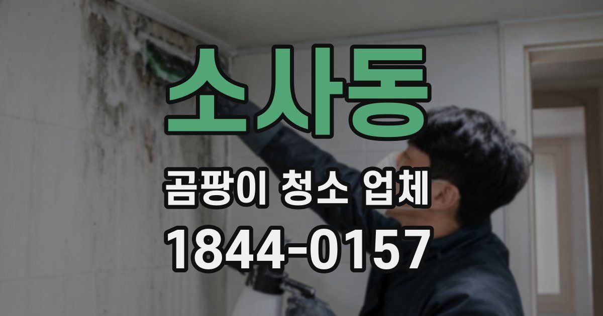 소사동 곰팡이 청소 업체