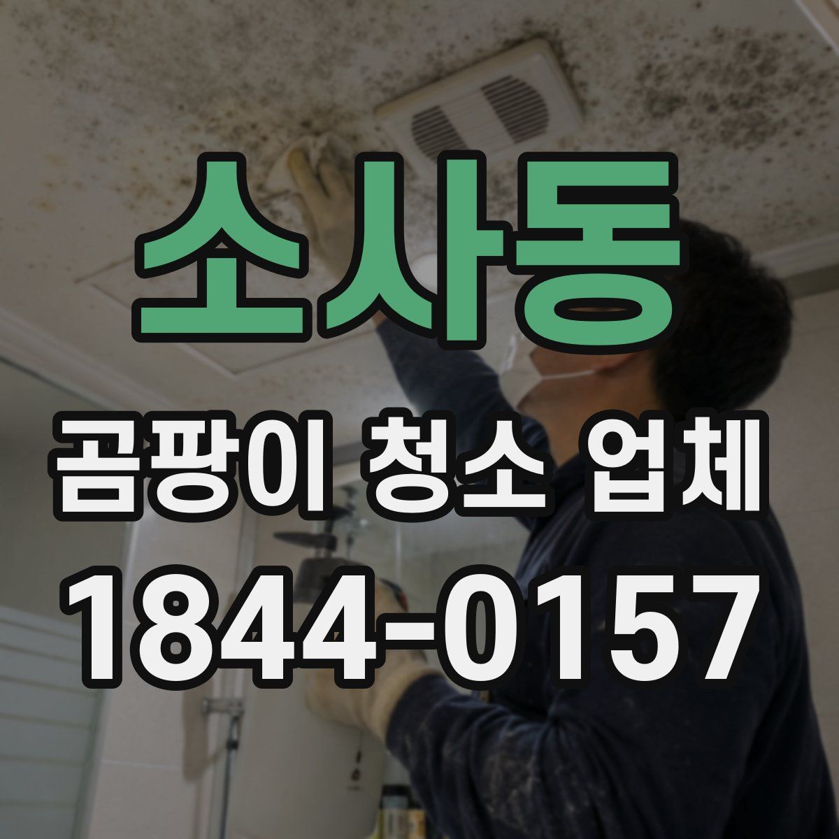 소사동 곰팡이 청소 업체