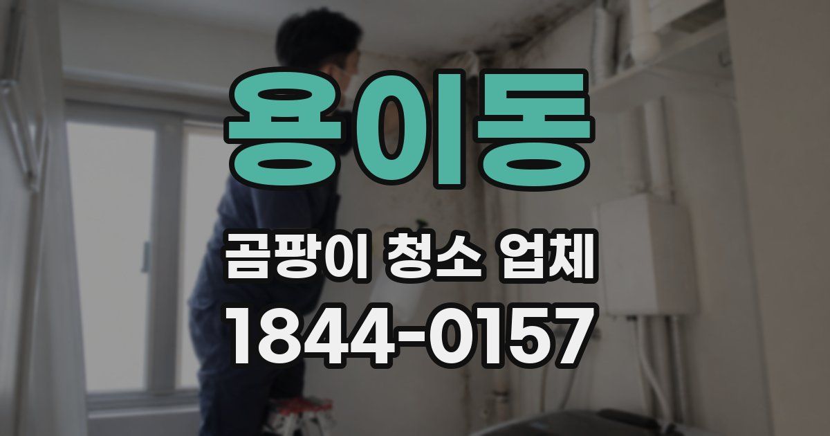 용이동 곰팡이 청소 업체