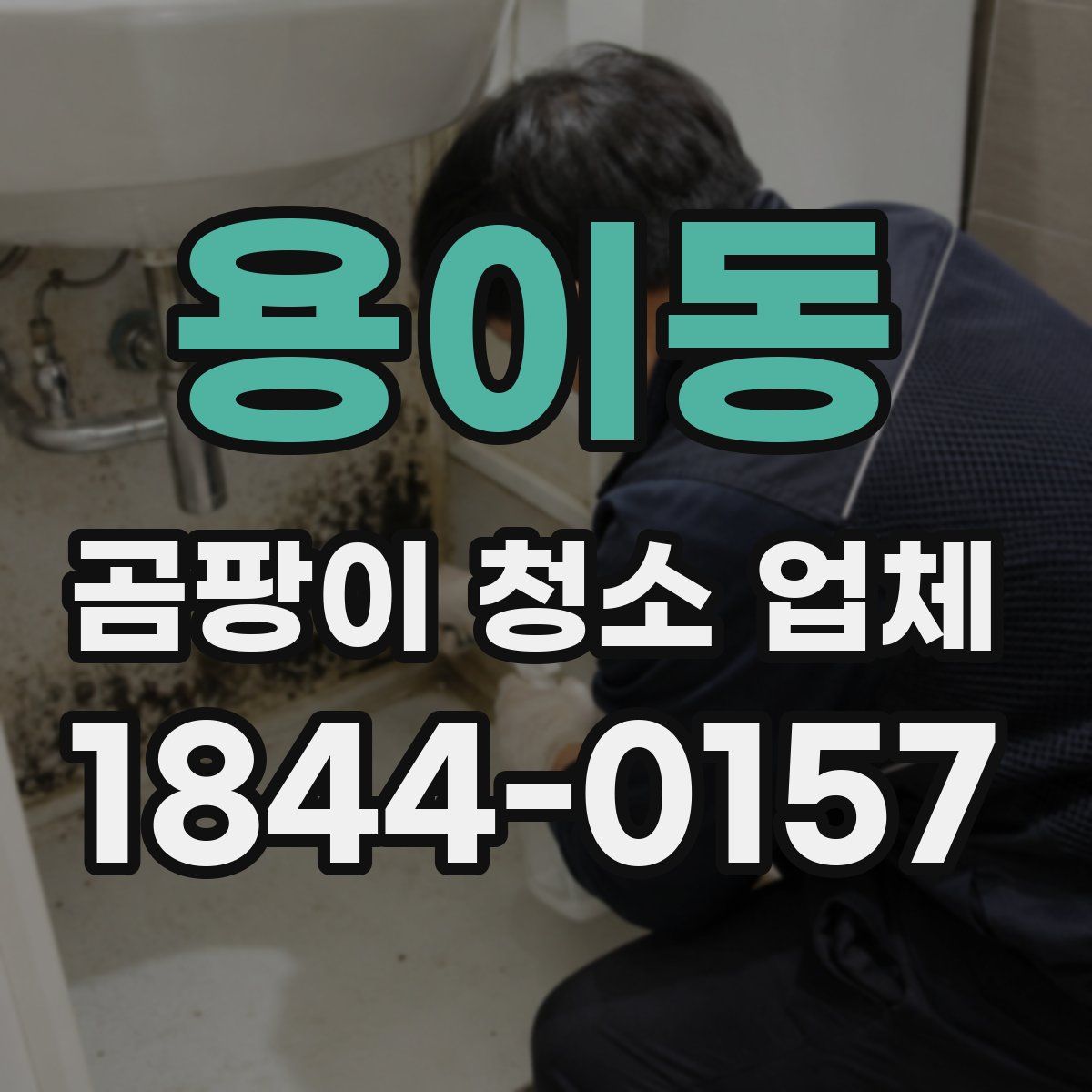 용이동 곰팡이 청소 업체