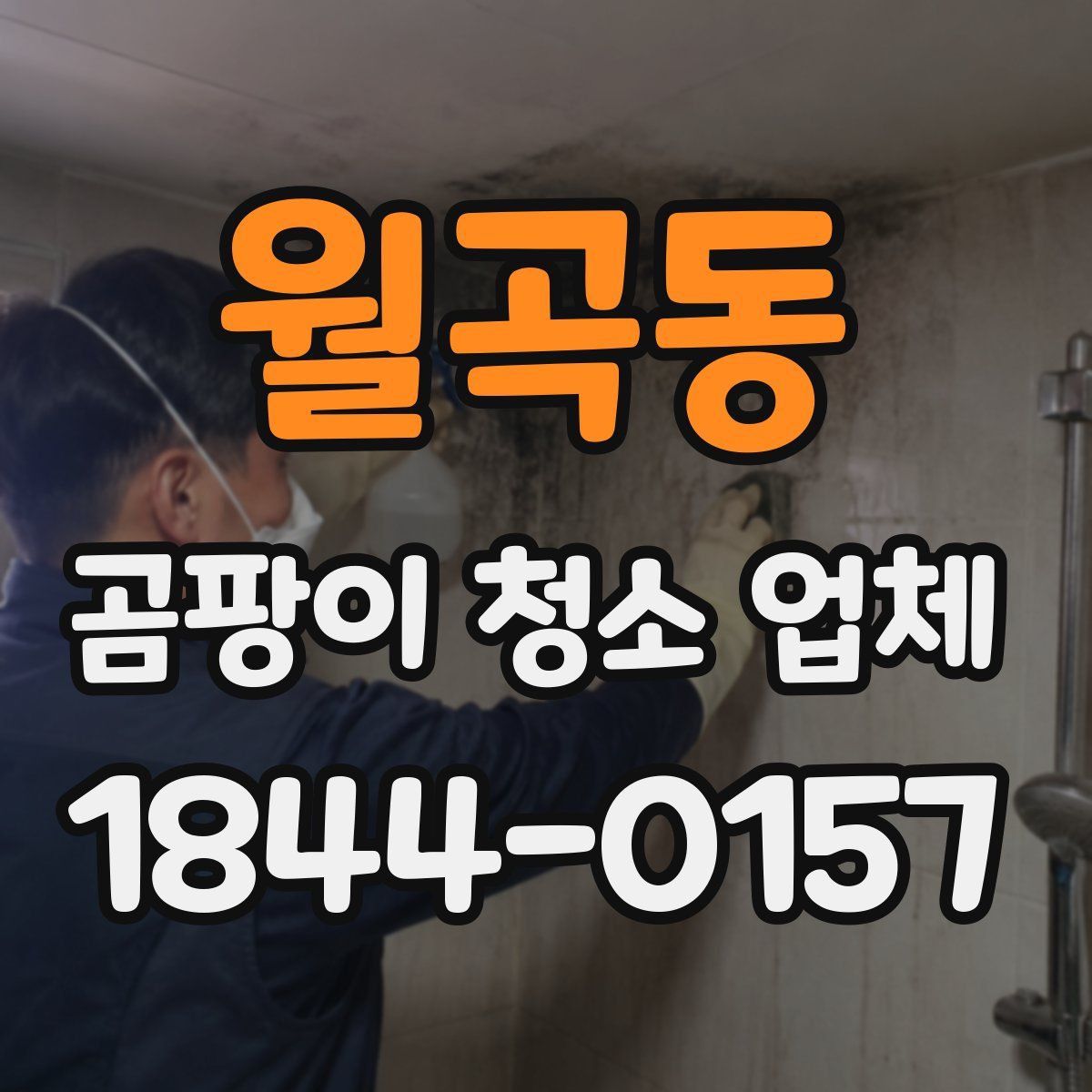 월곡동 곰팡이 청소 업체