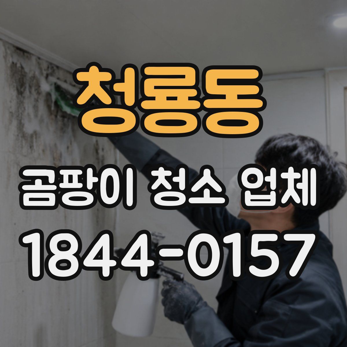 청룡동 곰팡이 청소 업체