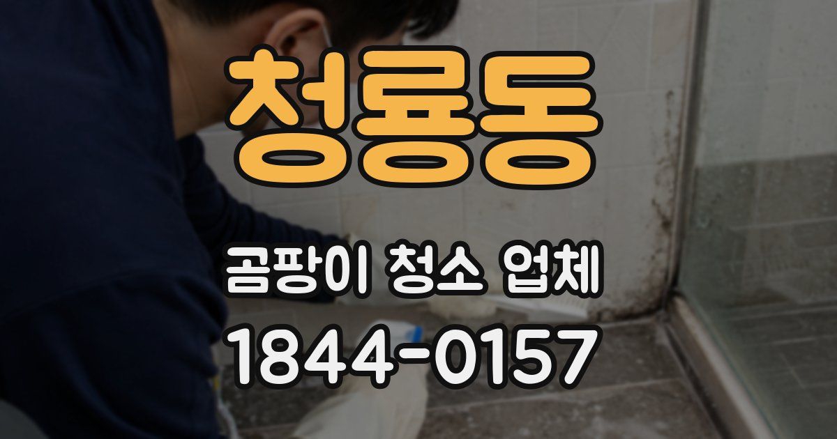 청룡동 곰팡이 청소 업체