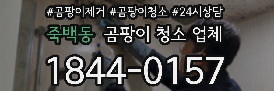 죽백동 곰팡이 청소 업체