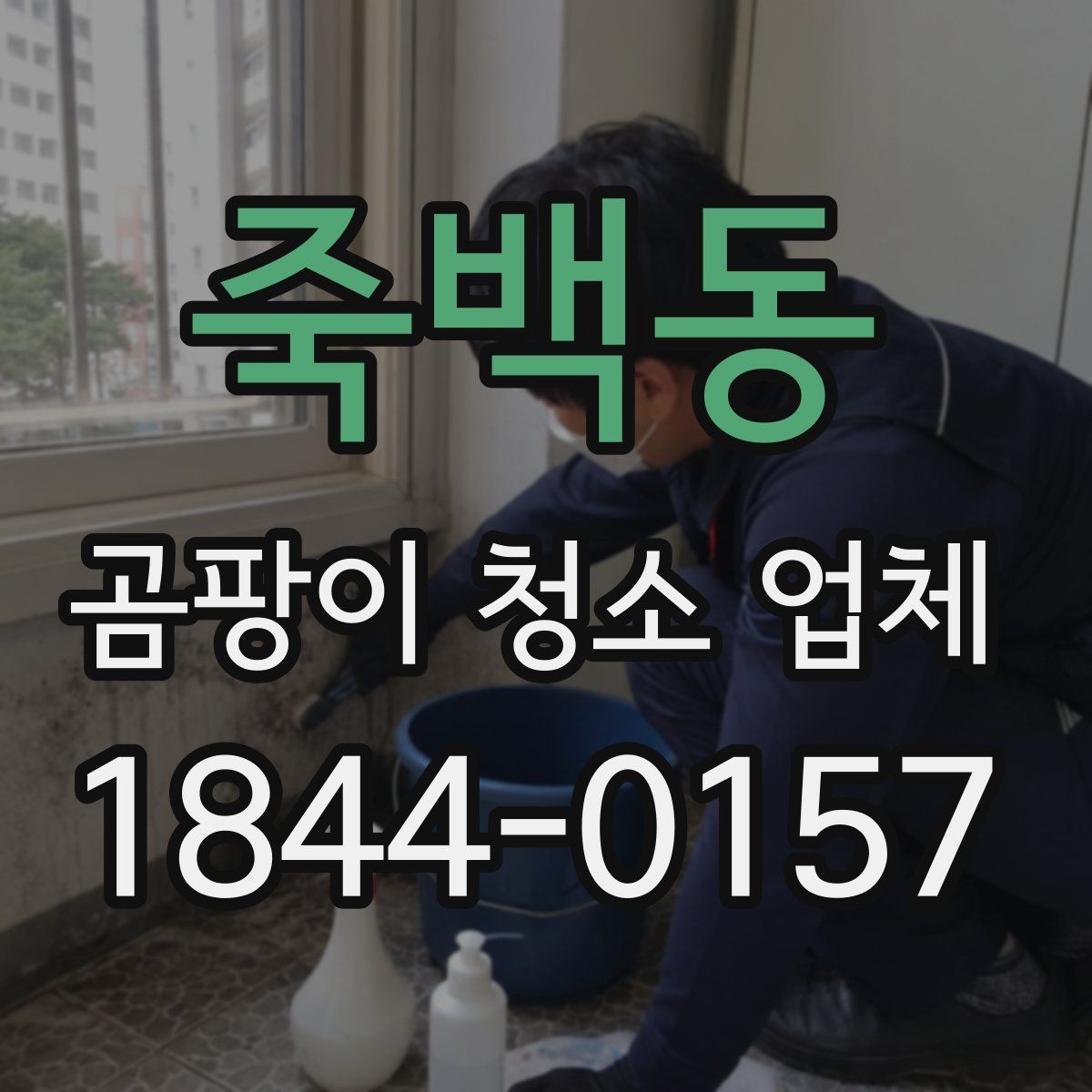 죽백동 곰팡이 청소 업체