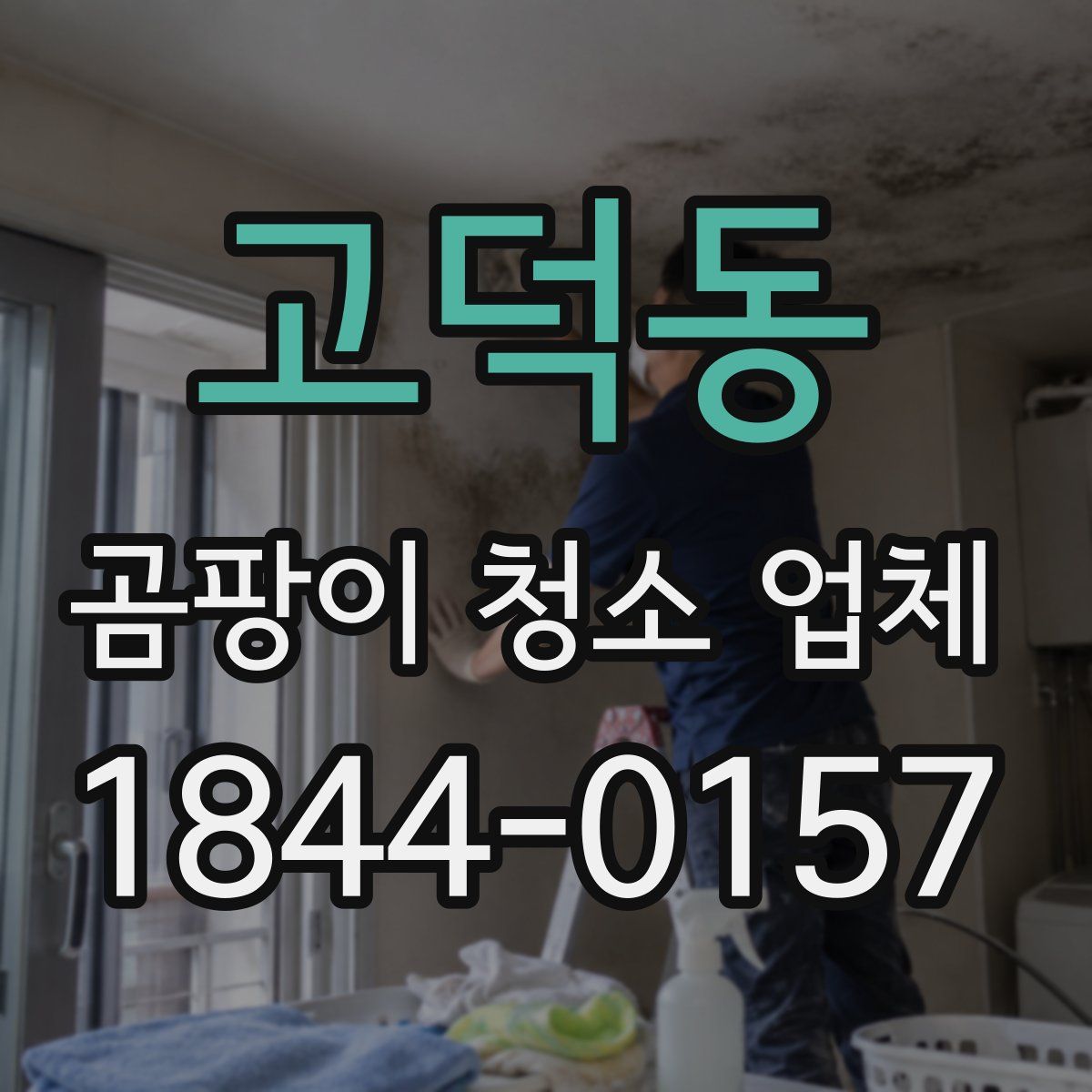 고덕동 곰팡이 청소 업체