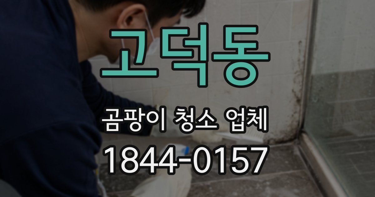 고덕동 곰팡이 청소 업체