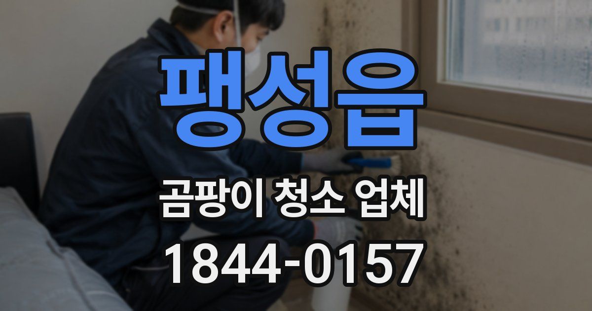 팽성읍 곰팡이 청소 업체