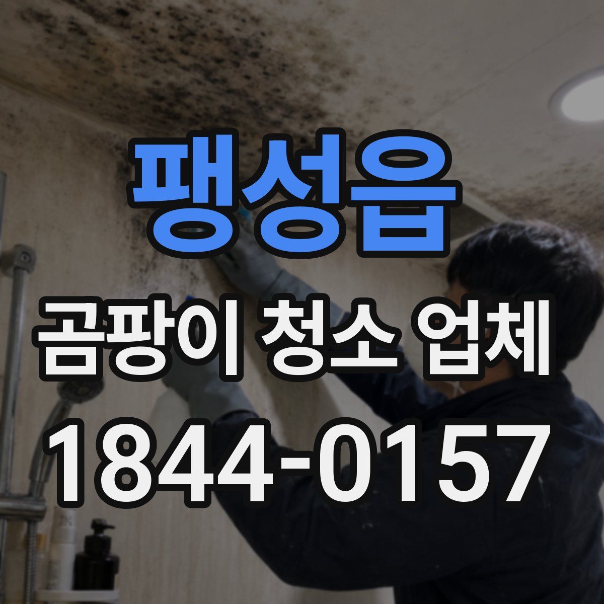팽성읍 곰팡이 청소 업체