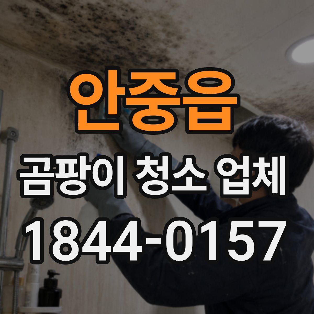 안중읍 곰팡이 청소 업체