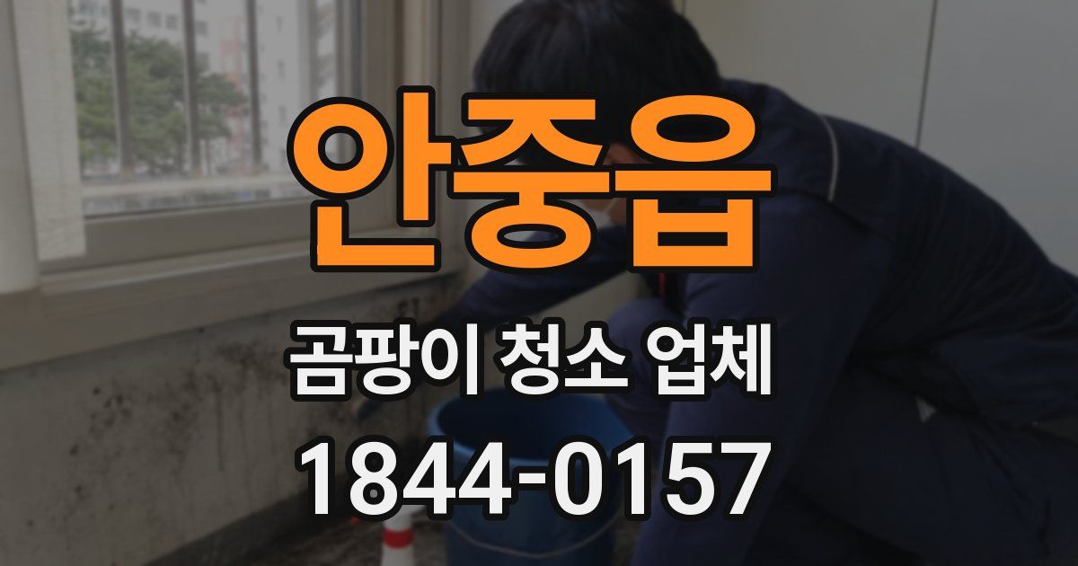 안중읍 곰팡이 청소 업체