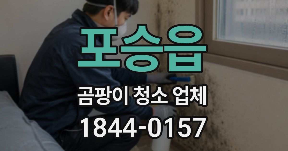 포승읍 곰팡이 청소 업체