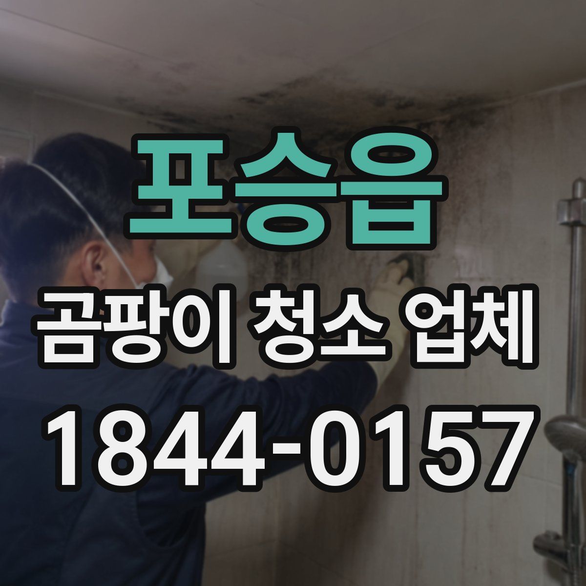 포승읍 곰팡이 청소 업체
