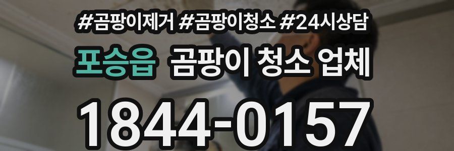 포승읍 곰팡이 청소 업체