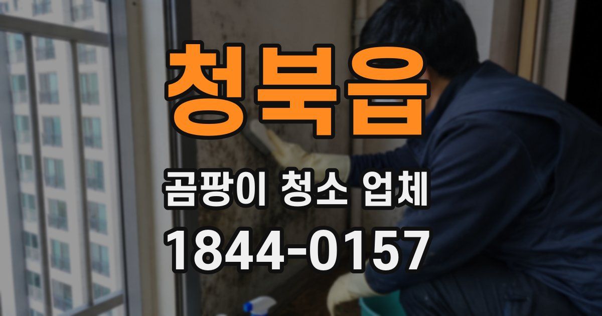 청북읍 곰팡이 청소 업체