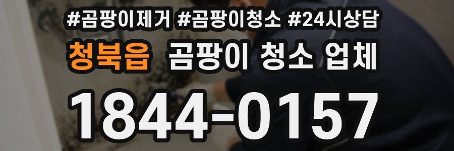 청북읍 곰팡이 청소 업체