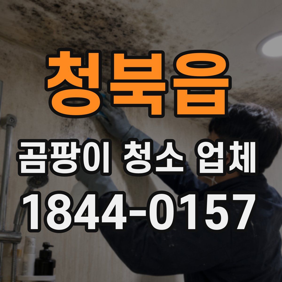 청북읍 곰팡이 청소 업체