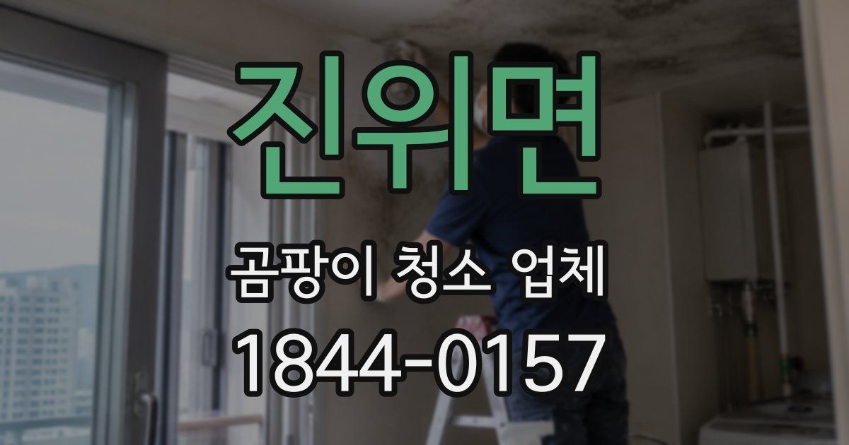 진위면 곰팡이 청소 업체
