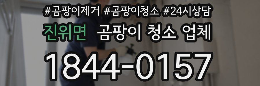 진위면 곰팡이 청소 업체