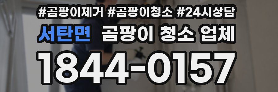 서탄면 곰팡이 청소 업체