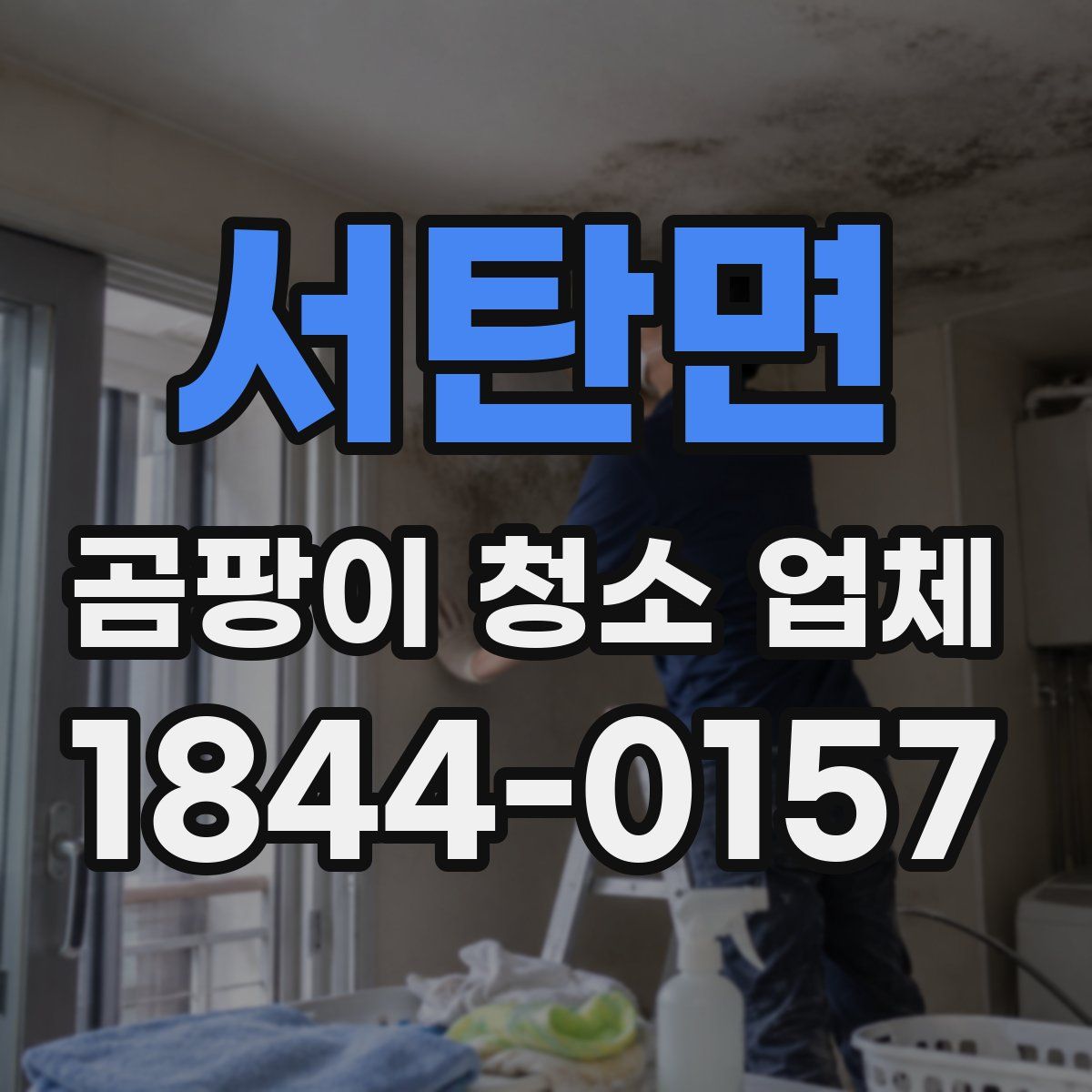 서탄면 곰팡이 청소 업체