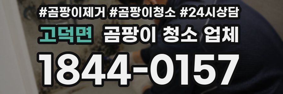 고덕면 곰팡이 청소 업체