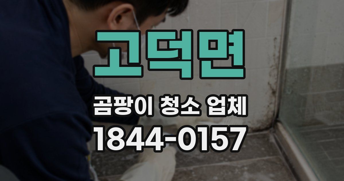 고덕면 곰팡이 청소 업체