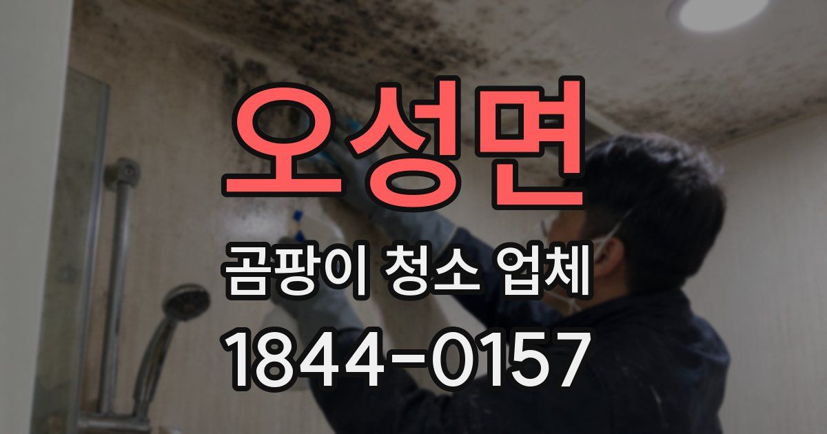 오성면 곰팡이 청소 업체