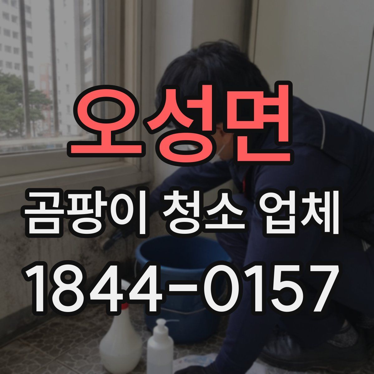 오성면 곰팡이 청소 업체