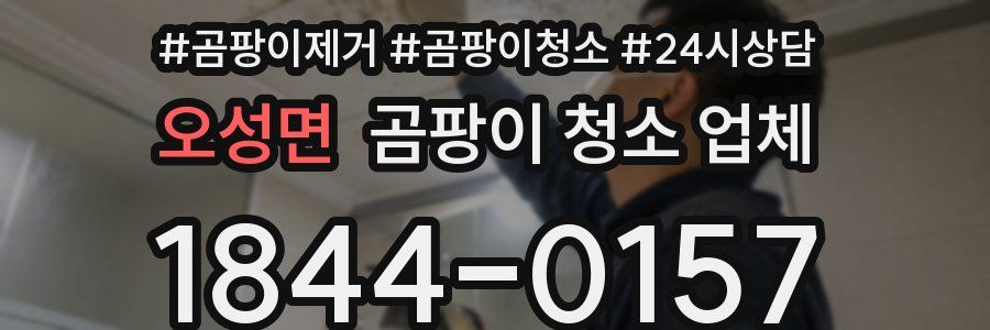 오성면 곰팡이 청소 업체