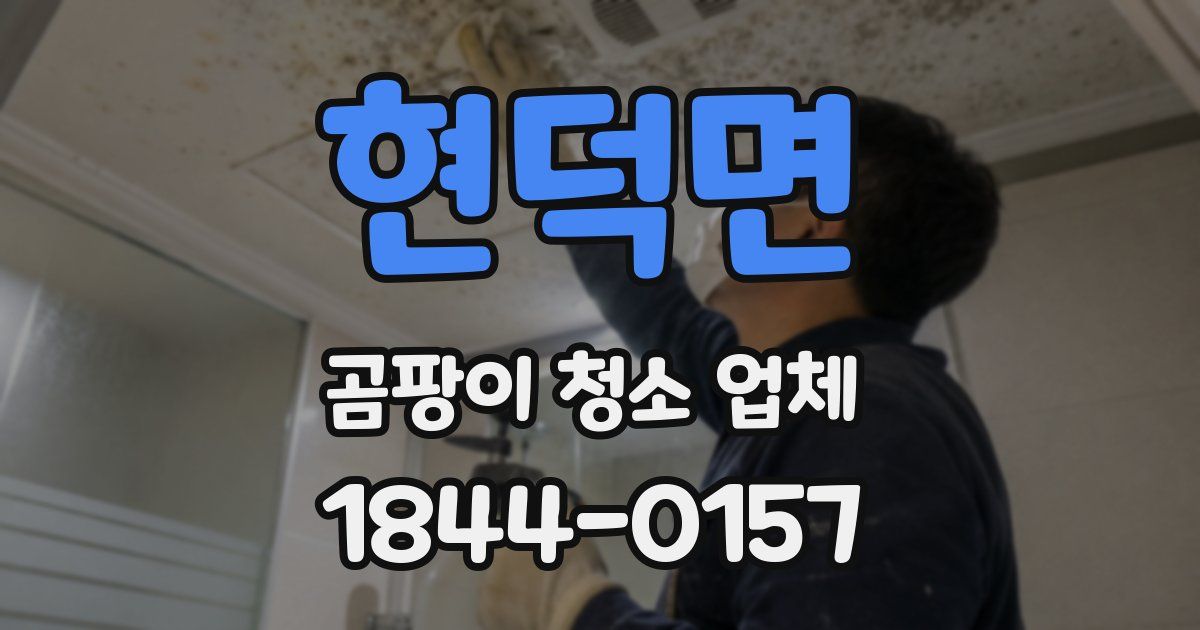 현덕면 곰팡이 청소 업체