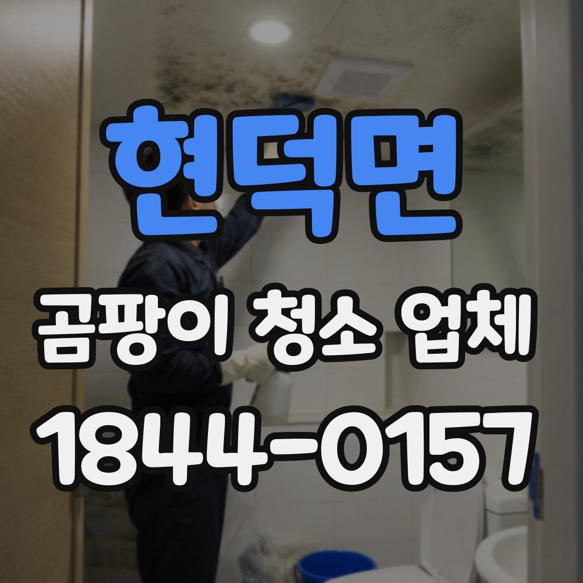 현덕면 곰팡이 청소 업체