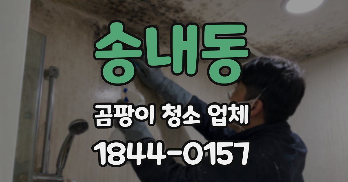 송내동 곰팡이 청소 업체