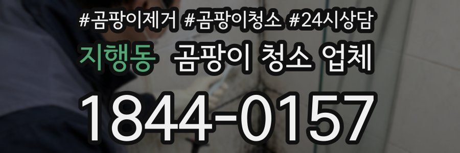 지행동 곰팡이 청소 업체