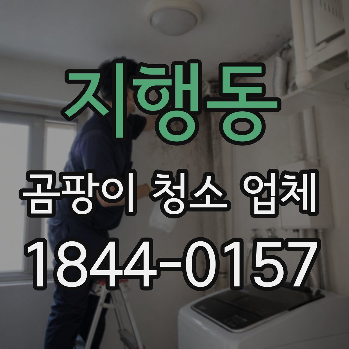 지행동 곰팡이 청소 업체
